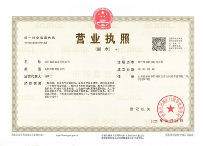 山东蓝升营业执照